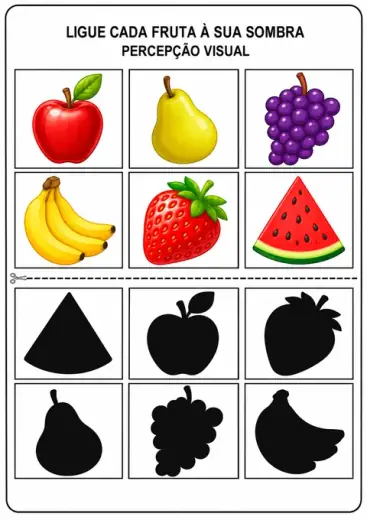 Ligue cada fruta à sua sombra